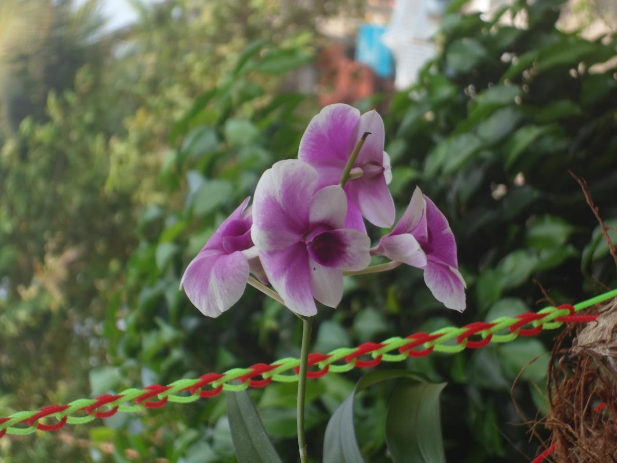 New Heaven Beach Resort Varkala Exterior photo
